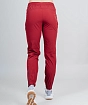 Брюки Nordski Pro Energy Ruby W